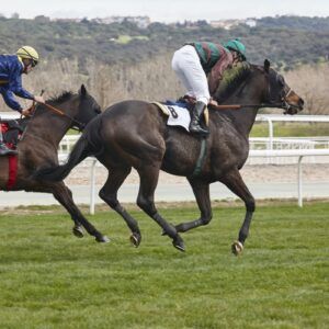 FL920630Z – Pari-Mutuel Wagering 
(PMW)